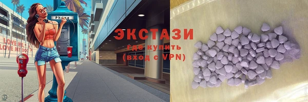 ECSTASY Бородино
